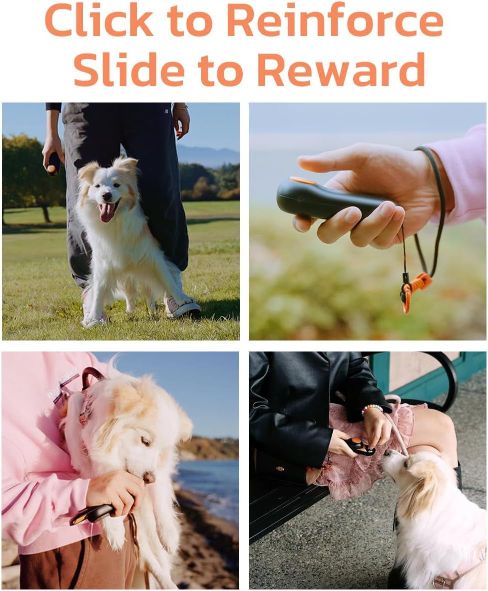 2-in-1 Clicker Dog Trainer and Treat Pouch - Durable, Lightweight, Easy to Clean Dog Training Essential in Black