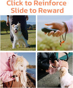 2-in-1 Clicker Dog Trainer and Treat Pouch - Durable, Lightweight, Easy to Clean Dog Training Essential in Black