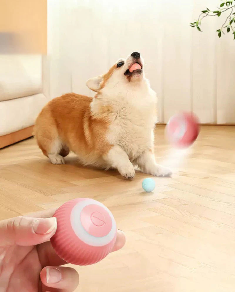 Smart Auto Rolling Electric Dog Ball - Interactive Indoor Training Toy for Active Pets