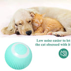 Interactive Electric Puppy Ball - Auto Rolling Toy for Cats & Small Dogs, Fun Self-Moving Games & Pet Accessories