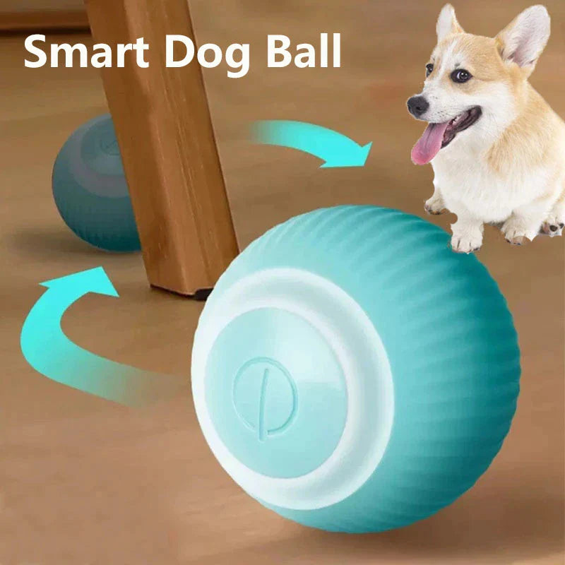Smart Auto Rolling Electric Dog Ball - Interactive Indoor Training Toy for Active Pets